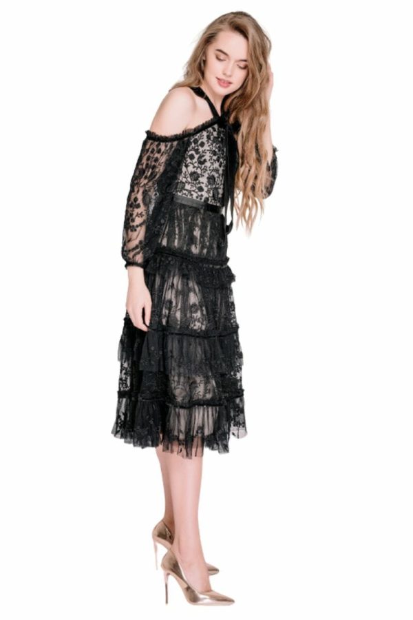 Rent a designer evening dress for a special occasion