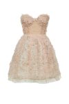 Giambattista_Valli_Tull_dress_lace_1-