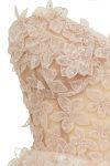 Giambattista_Valli_Tull_dress_lace_1-