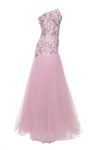rosa_tullkleid_1