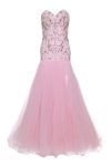 rosa_tullkleid_1